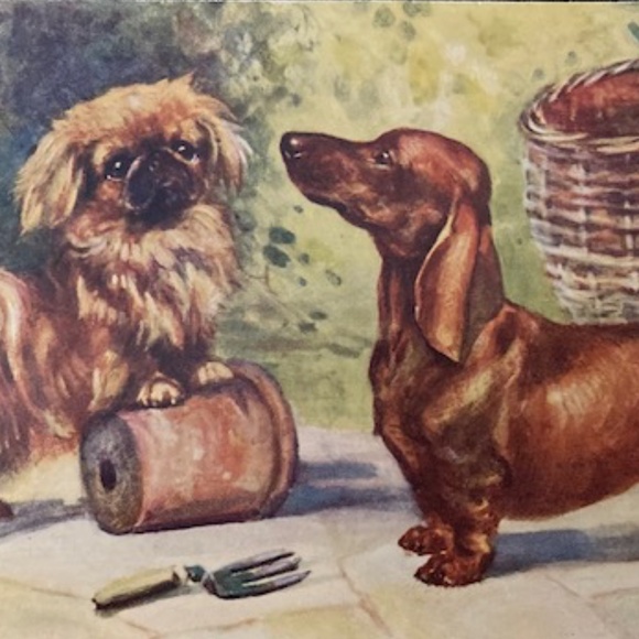 ~Welcome to my Closet~ - Picture 12 of 15